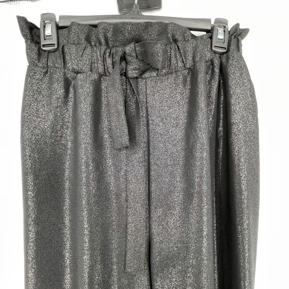 Zara Shimmery Paperbag Trouser Pants - Picture 5 of 11